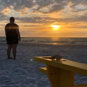 Meet your Posher, Abigail